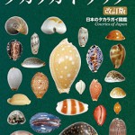 タカラガイ・ブック（改訂版）ー日本のタカラガイ図鑑ー | 海事・水産・交通・気象の専門書籍出版社の成山堂書店